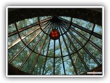 Conservatory_Ceiling